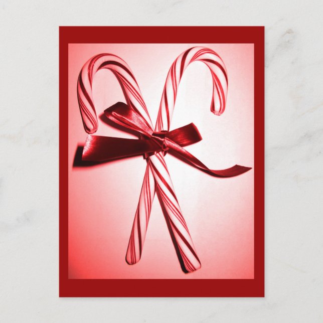 Candy Canes Holiday Postcard (Front)