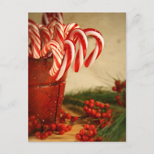 Candy canes in red tin can with berries postcard (Front)