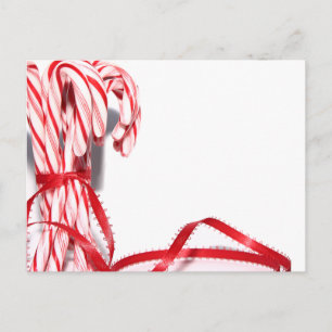 Candy Canes Postcard