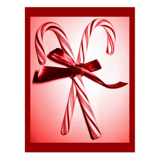 Candy Canes Postcard