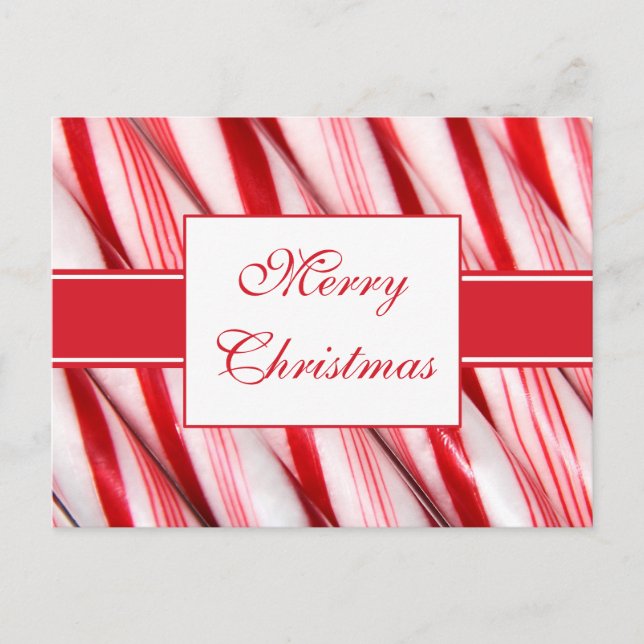 Candy Canes Postcard (Front)