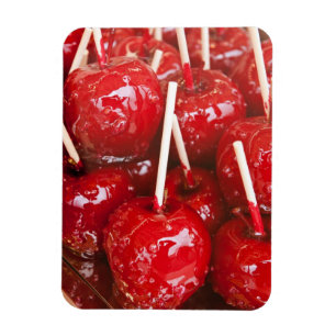 Candy coated fruit at the Stuttgart Beer Festiva Magnet