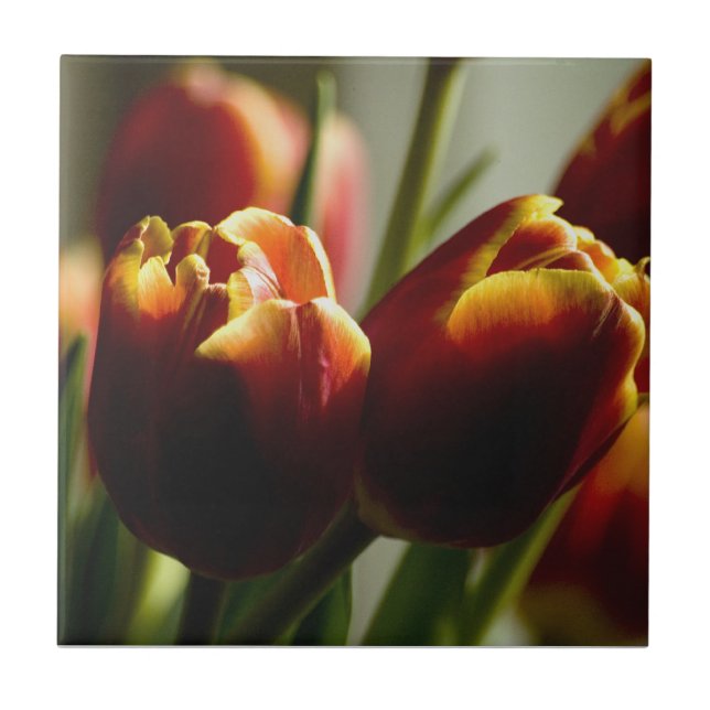 Candy Corn Tulips Ceramic Tile (Front)