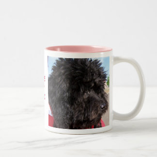 Candy Ginger Snap,  I LOVE  MYDOOO Two-Tone Coffee Mug