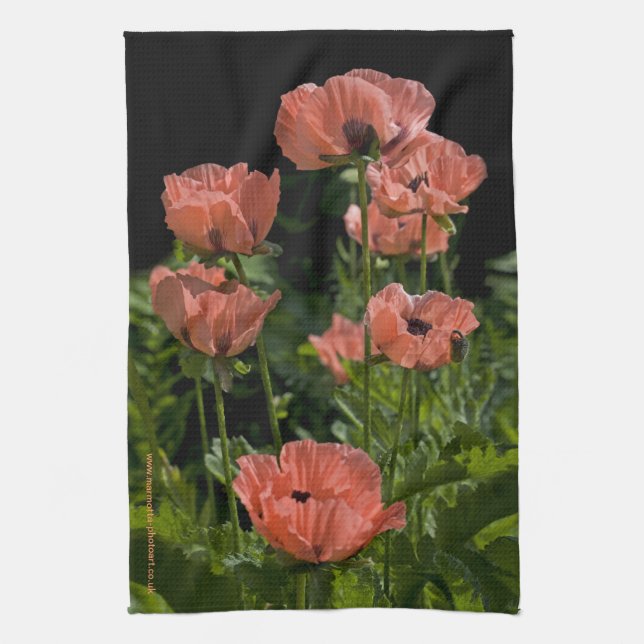 Candy Pops Kitchen Towel (Vertical)