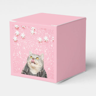Candy Snowflake Cat Favour Box