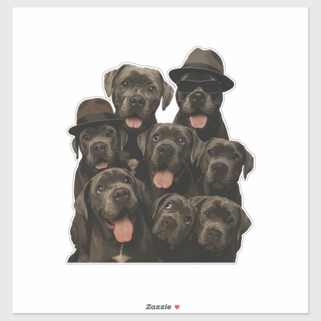 Cane Corso (Sheet)