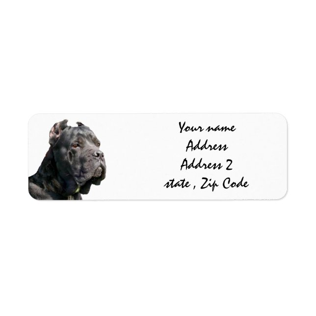 Cane corso address labels (Front)