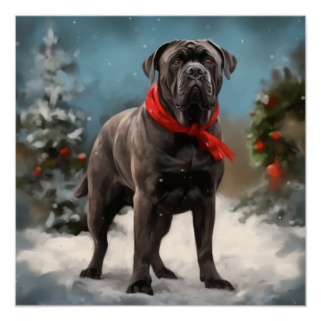 Cane Corso Dog in Snow Christmas  Poster (Front)