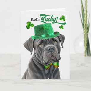 Cane Corso Dog Lucky St Patrick's Day Holiday Card