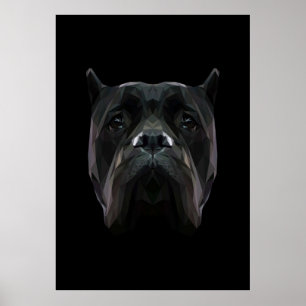 Cane Corso dog Poster