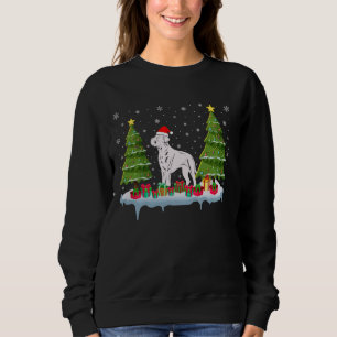 Cane Corso Dog Xmas Tree Lighting Men Women Ugly C Sweatshirt