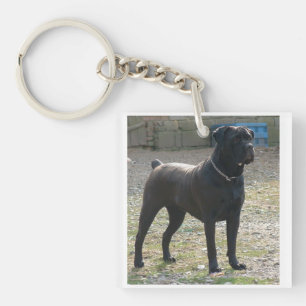 cane corso full.png key ring