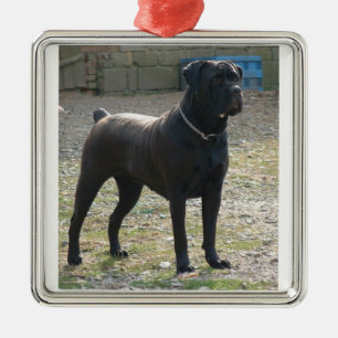 cane corso full.png metal tree decoration