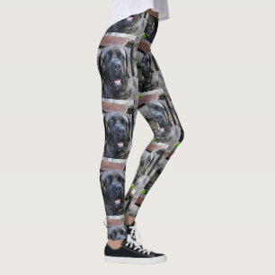 cane corso grey brindle leggings