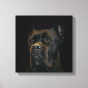 Cane Corso - Italian Mastiff Canvas Print