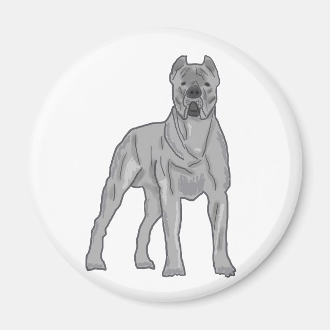 Cane Corso Magnet (Front)