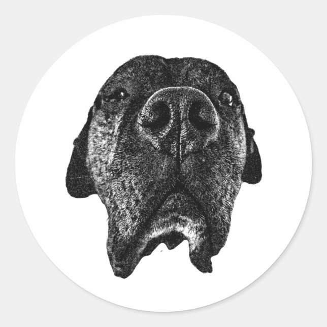 Cane Corso Nose Sticker | Bold Dog Art (Front)