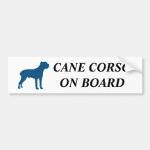 Cane Corso on board!