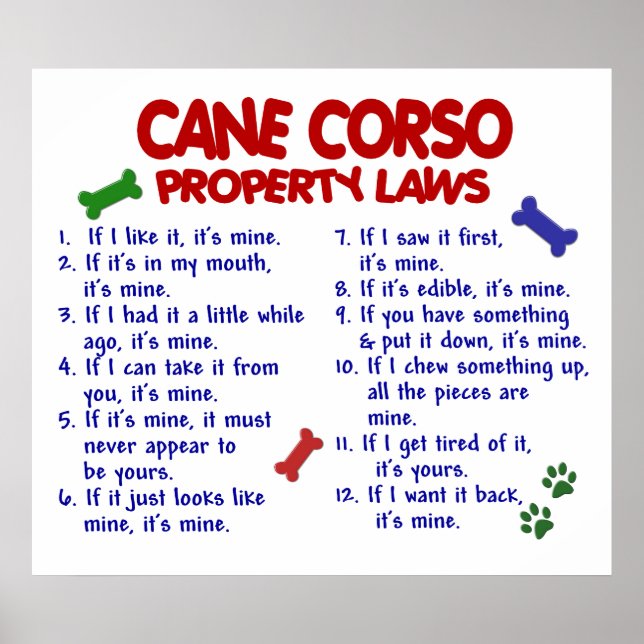 CANE CORSO PL2 POSTER (Front)