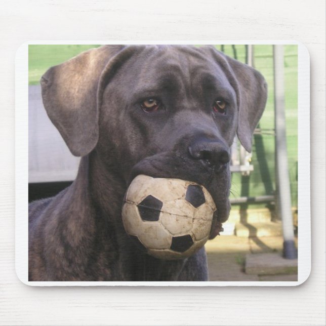 cane corso.png mouse pad (Front)