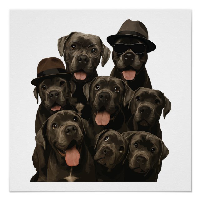 Cane Corso Poster (Front)