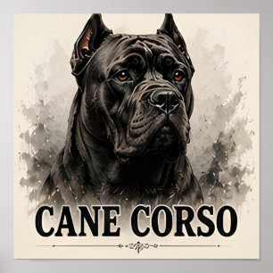 Cane Corso Powerful Guardian Dog Portrait Poster