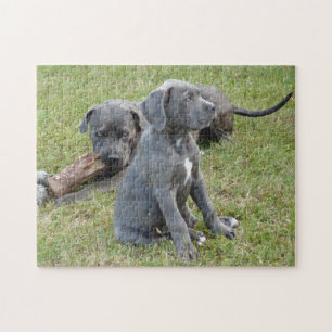 Cane Corso Puppy Cute Playful Jigsaw Puzzle