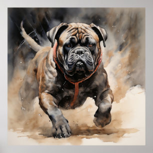 Cane Corso Running Ink Drawing  Poster