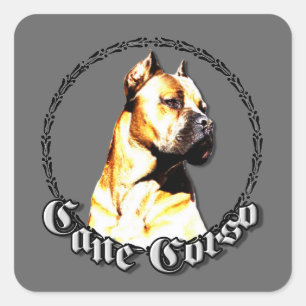 Cane corso stickers
