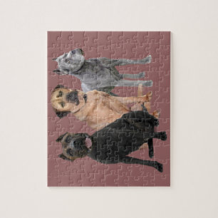 Cane Corso Three Jigsaw Puzzle