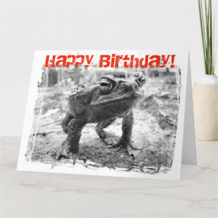 Cane Toad Australian Funny Giant Birthday Card