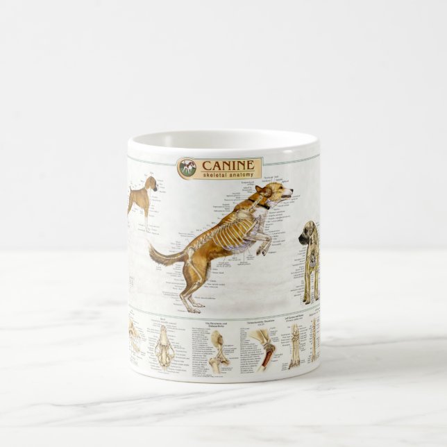 Canine Anatomy Mug (Center)