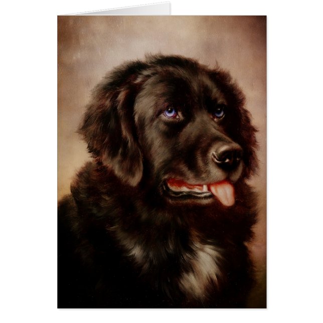 Canine Attachment (Front)