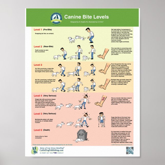 Canine Bite Levels Poster (Front)