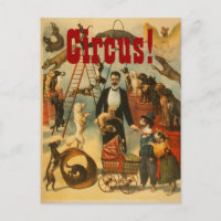 Canine Circus - Postcard #2