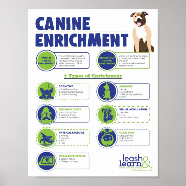Canine Enrichment Poster (Front)