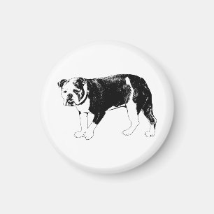 Canine Focus, Vector Precision Magnet