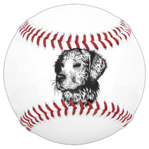 Canine Head Sketch  Softball