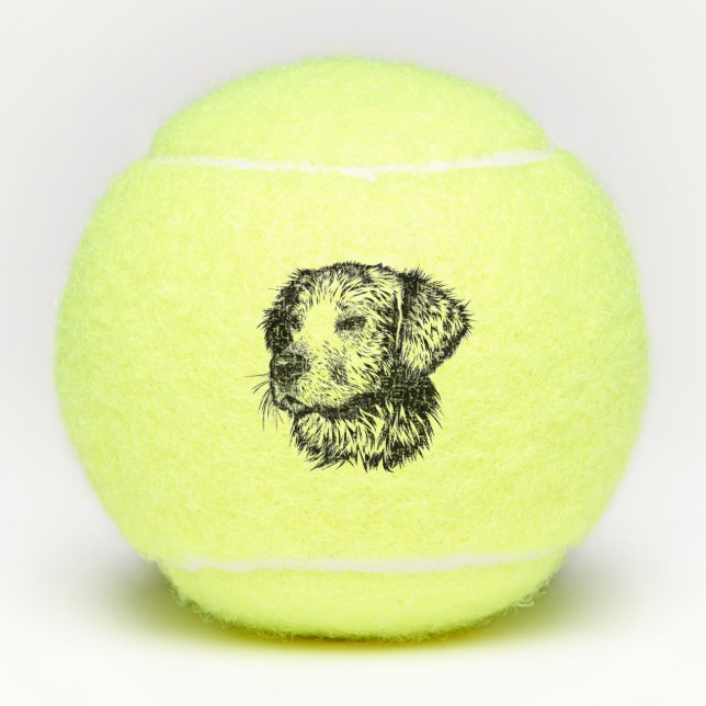 Canine Head Sketch  Tennis Balls (Front)