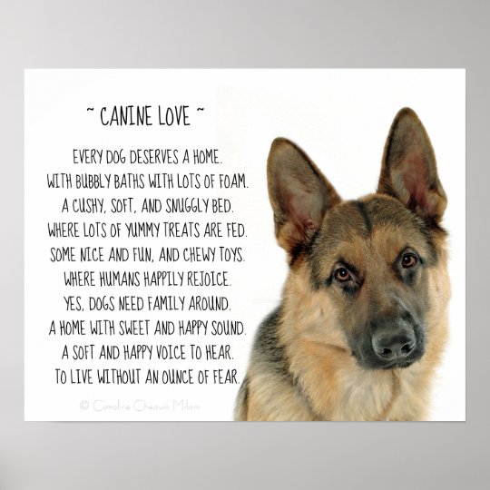 Canine Love Poster | Zazzle.com.au