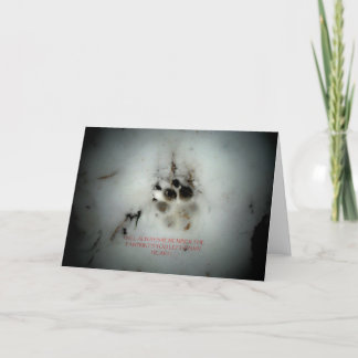 Canine Sympathy Condolance Card