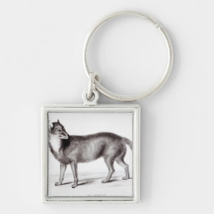 Canis Antarcticus Key Ring