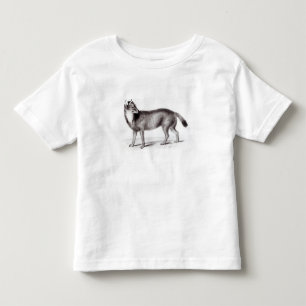 Canis Antarcticus Toddler T-Shirt