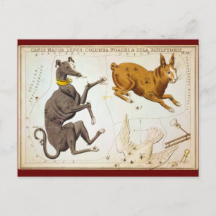Canis Major, Lepus, Columba Noachi & Cela Sculptor Postcard