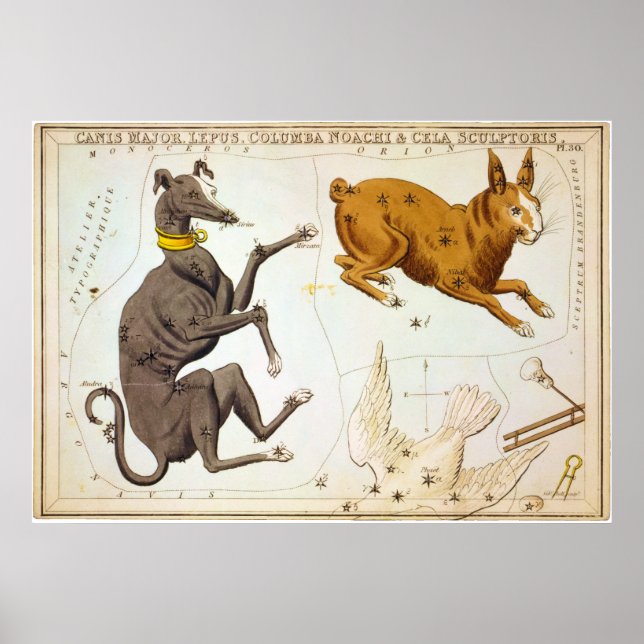 Canis Major, Lepus, Columba Noachi & Cela Sculptor Poster (Front)