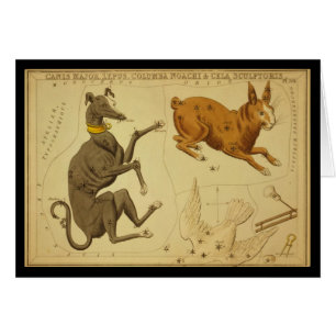 Canis Major, Lepus, Columba Noachi Cela Sculptoris