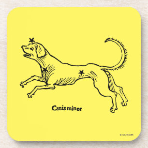 Canis Minor, 1482 Coaster