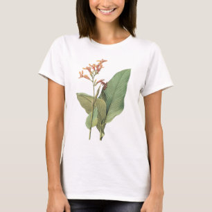 canna(Canna gigantea) by Redouté T-Shirt