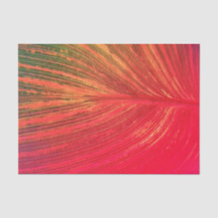 Canna Leaf Pink Tinge Tissue Paper
